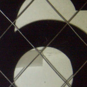 Meet your Posher, Dilan ray